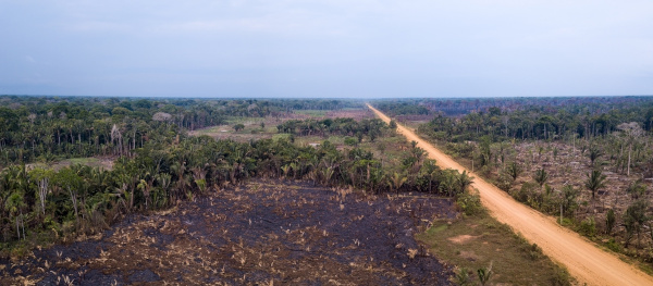 Área de desmatamento ilegal na Rodovia Transamazônica (BR-230), uma alusão à pegada ecológica no Brasil.