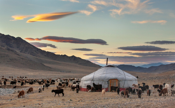 Animais em volta de uma tenda nômade na Mongólia.