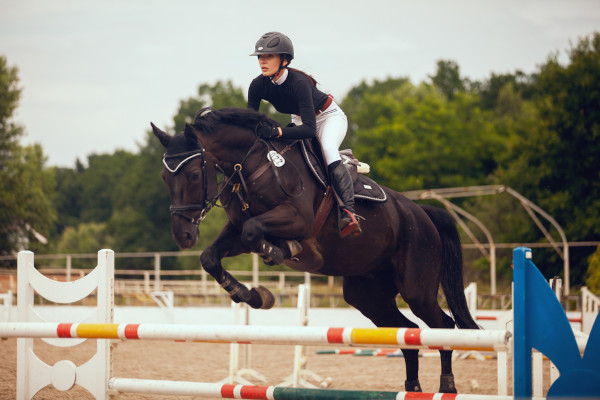 Atleta durante salto no hipismo