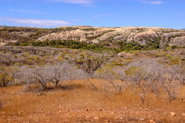 Paisagem natural no bioma Caatinga, um dos biomas brasileiros.