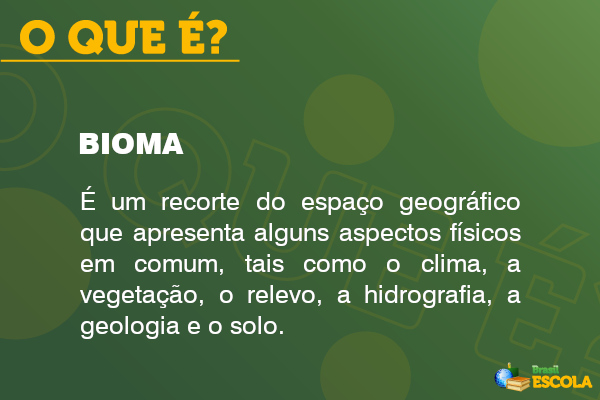 Imagem explicando o que é bioma.