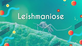 Título "Leishmaniose" escrito sobre fundo verde com imagem de um mosquito-palha sobre a pele.
