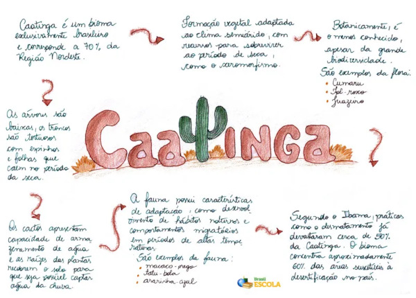 Mapa mental sobre a Caatinga.