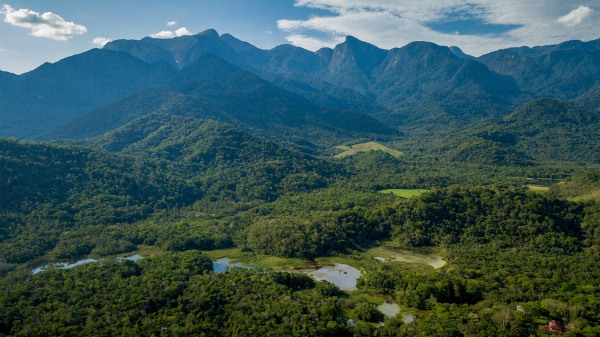 Paisagem natural no bioma Mata Atlântica, um dos biomas brasileiros.