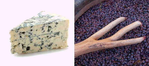 Queijo e vinho, alimento e bebida cuja produção está ligada à Biotecnologia.