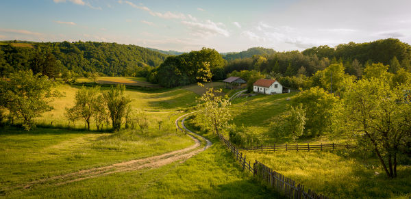 Cerca, árvores e duas casas em uma zona rural.