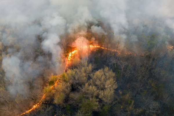 fumaças por causa de incêndio