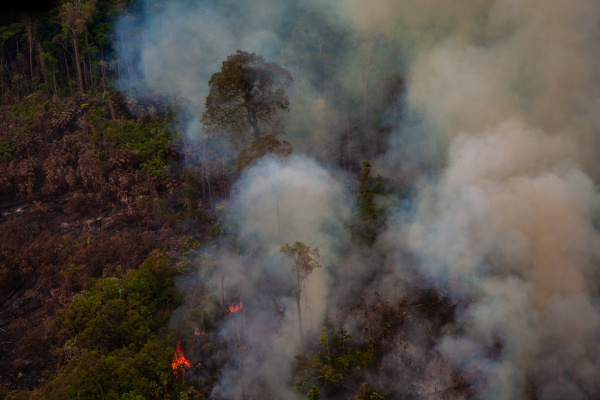 Floresta Amazônica em chamas e com bastante fumaça no estado do Pará, situação típica das queimadas na Amazônia.