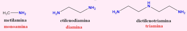Três tipos de aminas.