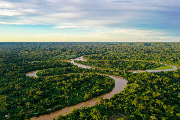 Paisagem natural no bioma Floresta Equatorial, um dos biomas do mundo.