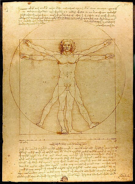 O desenho original do Homem Vitruviano de Leonardo da Vinci.