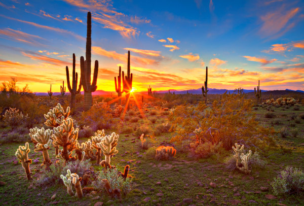 Paisagem típica da região de fronteira entre México e Estados Unidos