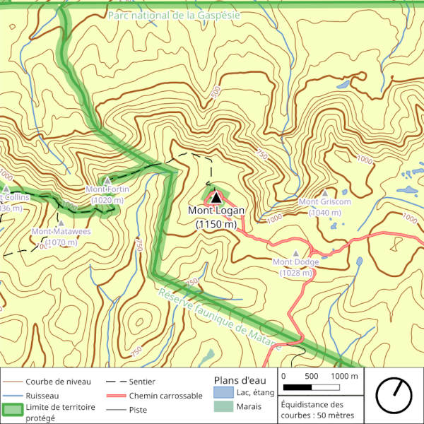 Exemplo de mapa topográfico, um dos tipos de mapa.
