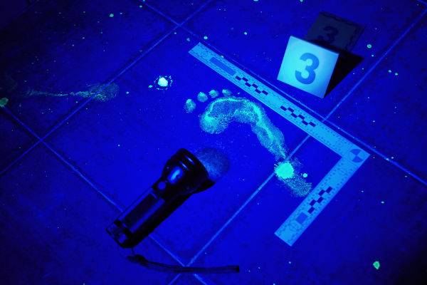 Luz negra sendo usada em uma análise forense de uma cena de crime.