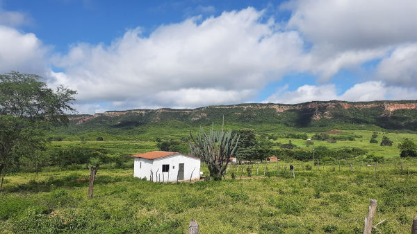 Vista do campo, evidenciando o espaço rural.