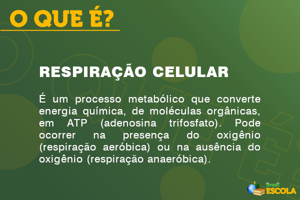 Imagem explicando o que é respiração celular e indicando seus tipos.