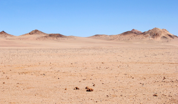 Deserto, um dos tipos de vegetação do mundo.