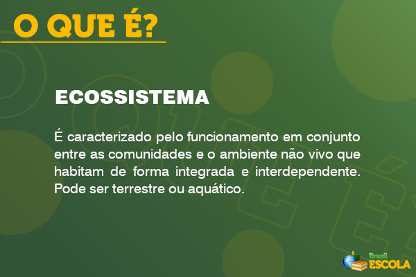 Imagem explicando o que é ecossistema.