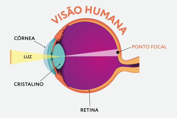 Ilustração representando a visão normal.