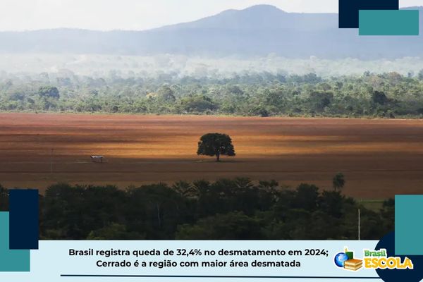 Foto mostra área desmatada e vegetações próximas