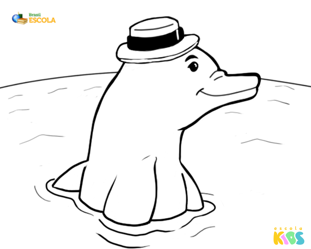 Desenho para colorir boto-cor-de-rosa