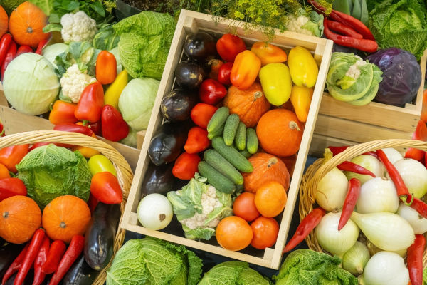 Variedade de legumes e verduras em caixotes, exemplos de alimentos de origem vegetal.