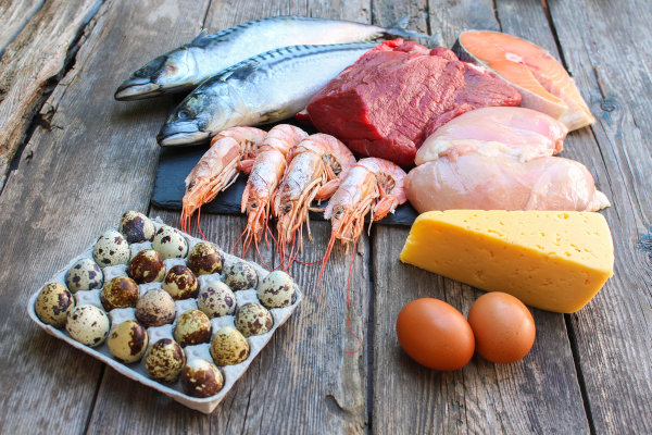 Carnes, peixes, ovos, queijo e camarão, exemplos de alimentos de origem animal. Carnes, peixes, ovos, queijo e camarão, exemplos de alimentos de origem animal.