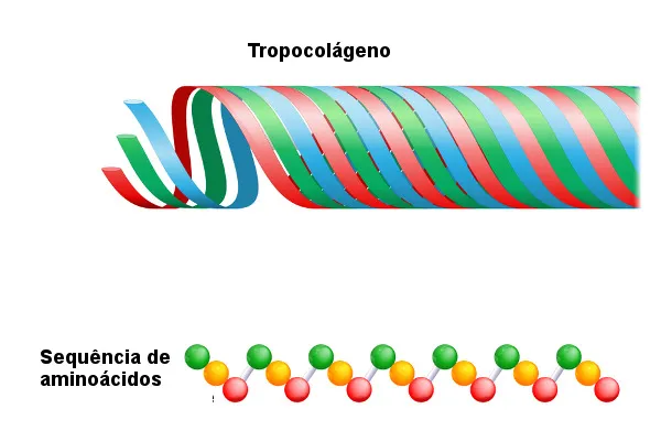 Colágeno