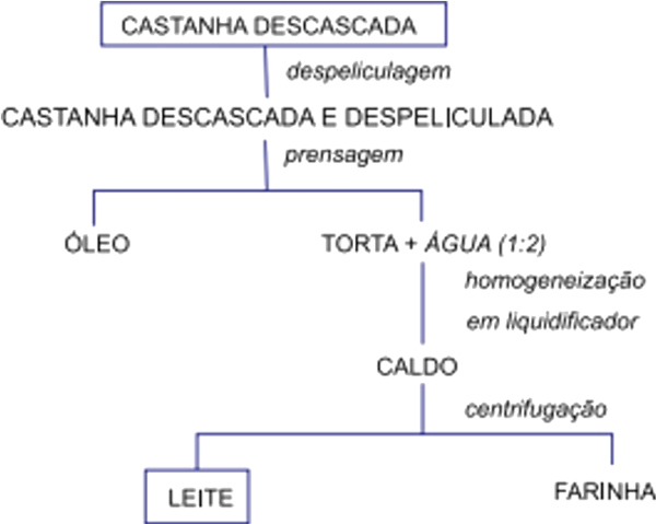 Processo de obtenção de leite de castanha-do-brasil em questão da UFSCAR.