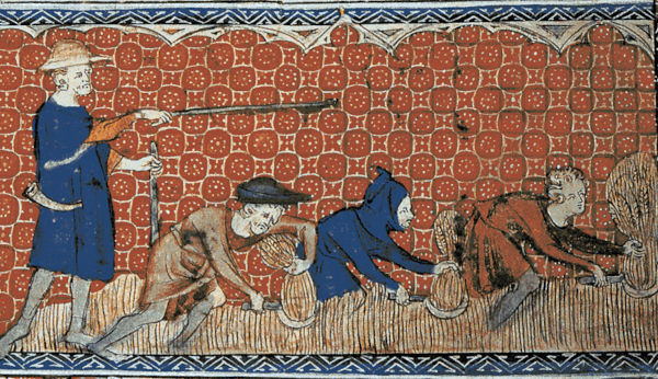 Ilustração medieval mostra trabalhadores colhendo trigo em referência à forma de trabalho desenvolvida na Idade Média.