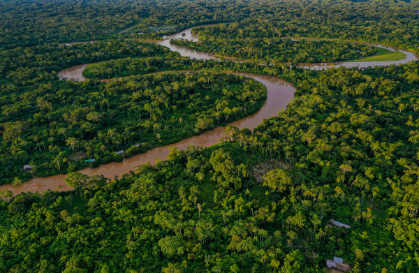 Floresta Amazônica sendo atravessada pelo Rio Amazonas, os dois principais componentes do bioma Amazônia. 