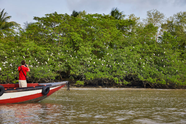 Homem em embarcação diante de área florestal no Suriname.