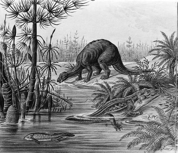 Formas de vida do planeta Terra entre o final do Triássico e o início do Jurássico.