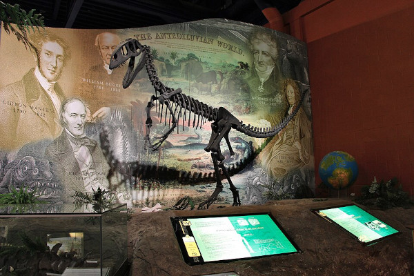 Primeiro fóssil de dinossauro descoberto: um osso de Megalossauro. [1]