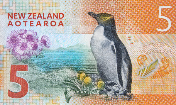 Pinguim-de-olho-amarelo, uma das espécies de pinguim estampando a moeda de cinco dólares neozelandeses.
