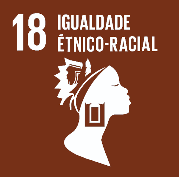 Ícone representando a ODS 18 (igualdade étnico-racial) proposta pelo Brasil para o cumprimento da Agenda 2030.