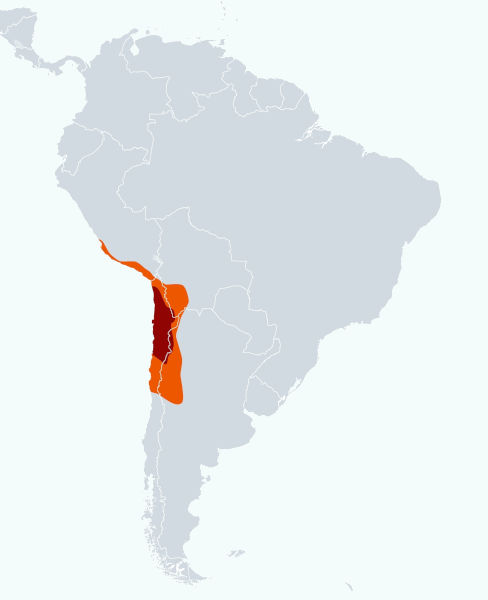 Mapa mostrando a localização do Deserto do Atacama.