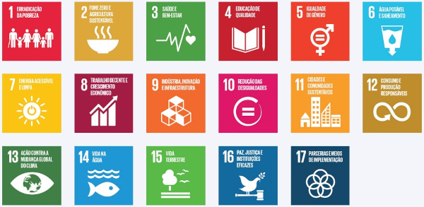 17 Objetivos de Desenvolvimento Sustentável da Agenda 2030. 