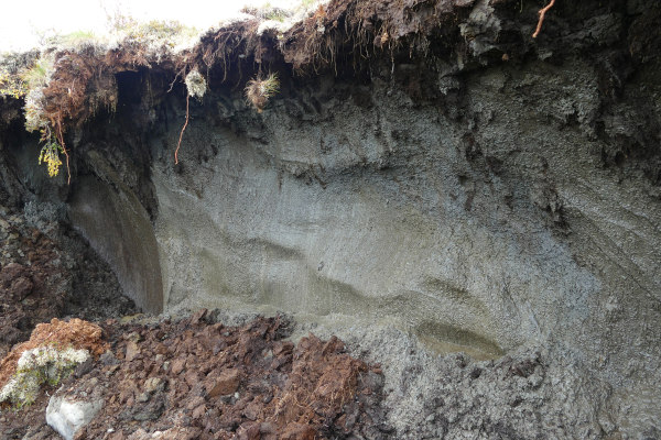 Permafrost, um tipo de solo congelado encontrado predominantemente no Hemisfério Norte. 