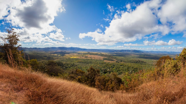 Vista de paisagem natural típica do Centro-Oeste do Brasil.