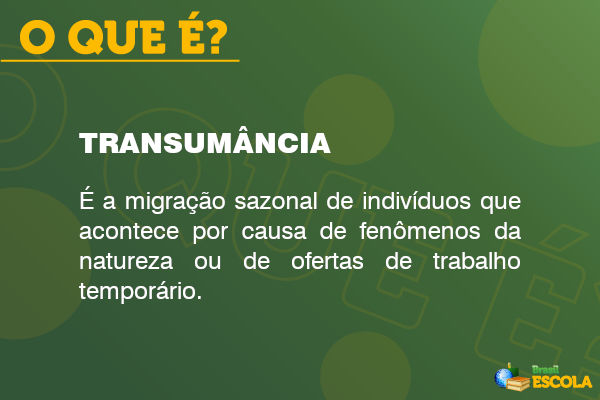 Imagem explicando o que é transumância. [imagem_principal]