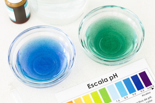 Indicadores ácido-base após mudarem de cor de acordo com pH do meio. 