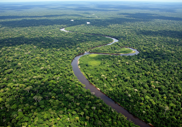 Vista área de paisagem da Floresta Amazônica, na Região Norte do Brasil.