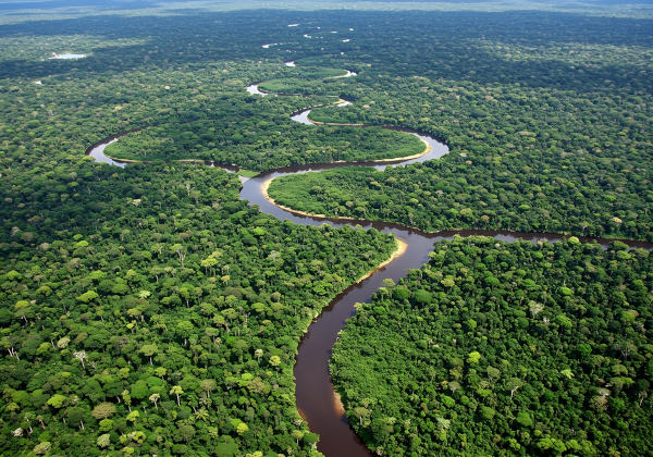 Vista aérea do rio Amazonas em uma área de planície.