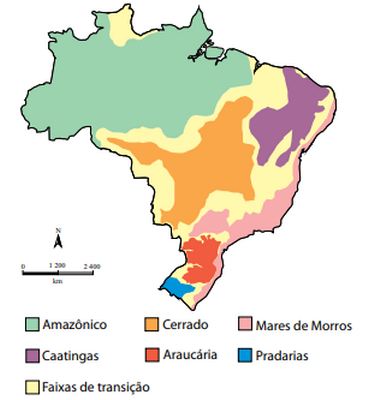 Mapa com os domínios morfoclimáticos do Brasil em exercício da Unesp sobre Mares de Morros.