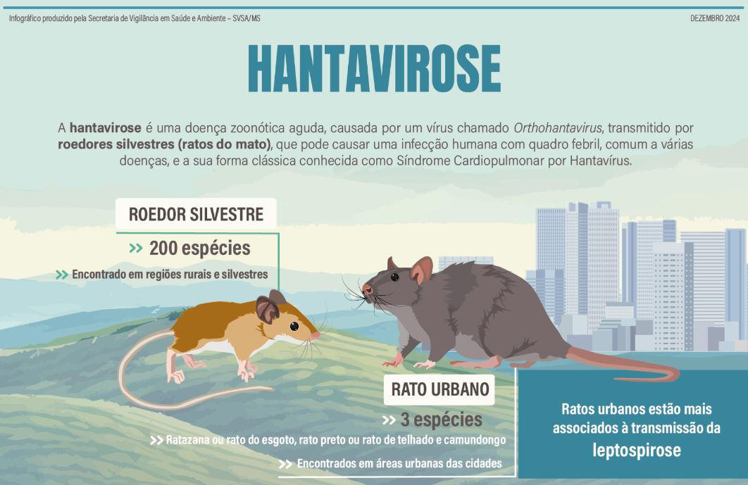 Hantavírus