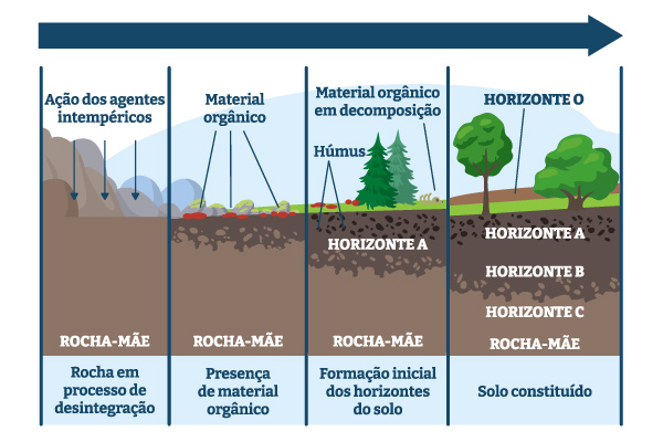 Esquema das etapas da pedogênese mostrando a transformação da rocha-mãe em solo.