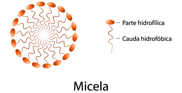 Representação de uma micela, formada por moléculas de tensoativos (ou surfactantes). 