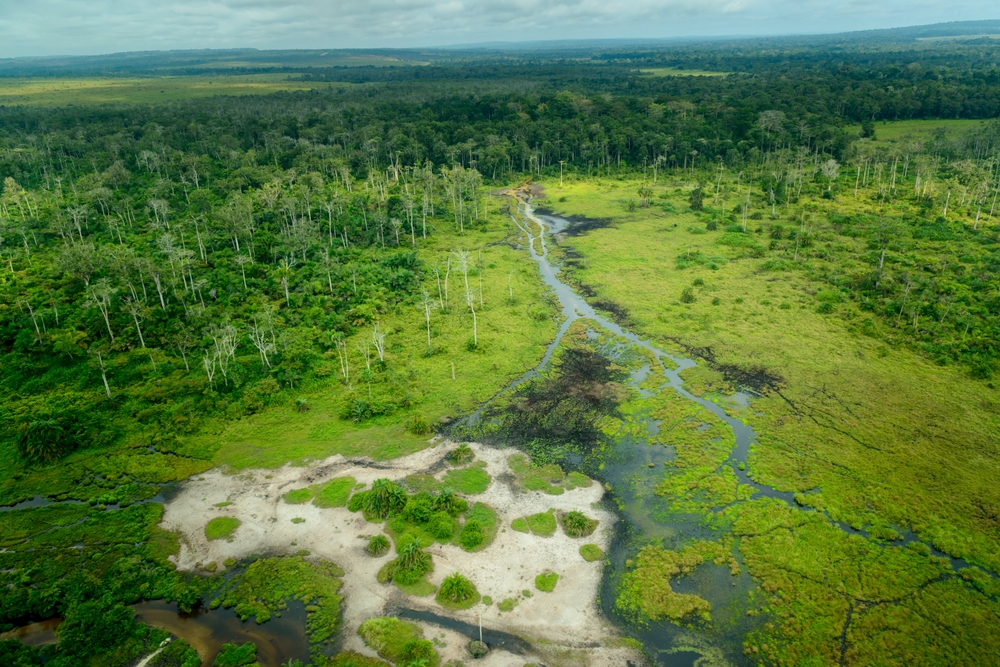 Paisagem natural no Parque Nacional Odzala-Kokoua, no Congo.
