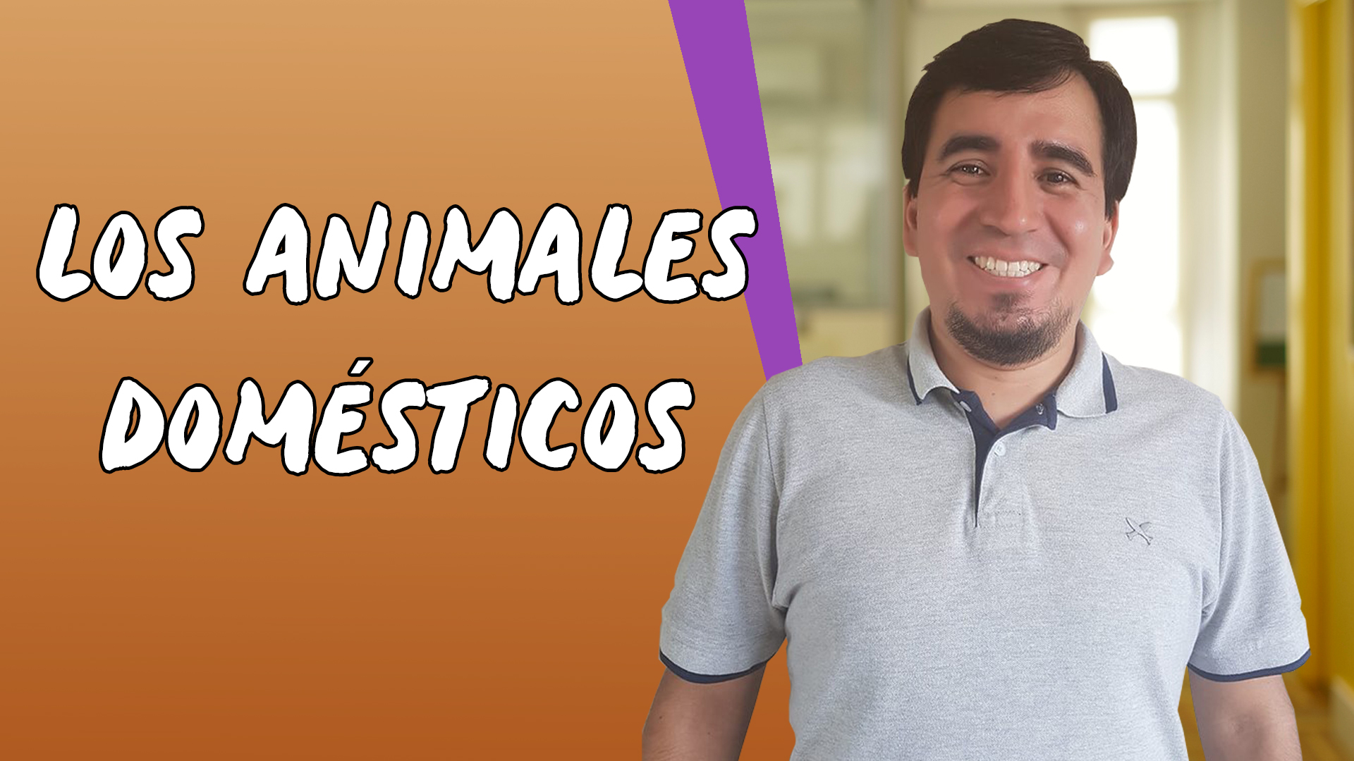 "Los Animales Domésticos" escrito sobre fundo laranja ao lado da imagem do professor
